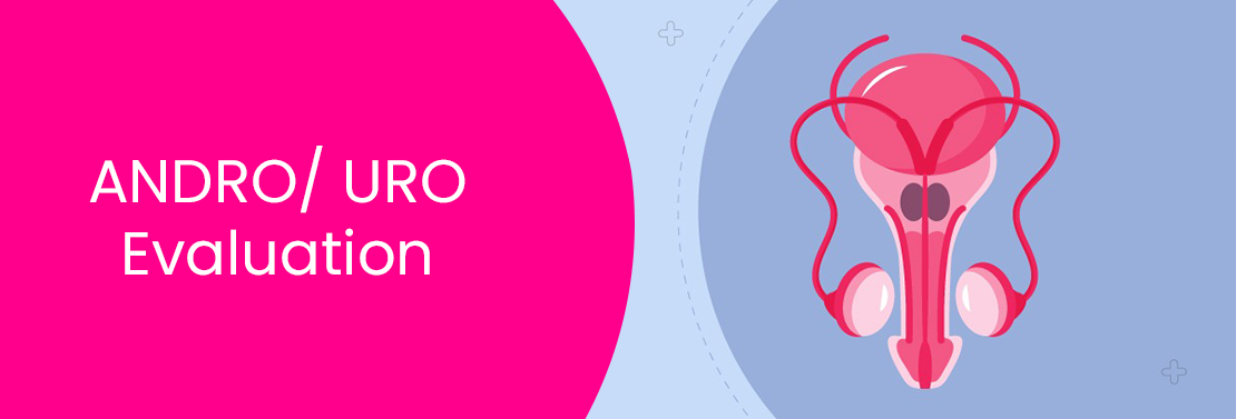Andro / URO Evaluation at Laimaa Fertility, Delhi