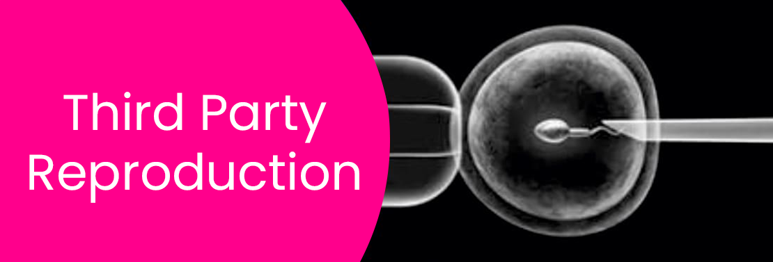 Third-Party Reproduction at Laimaa Fertility, Delhi