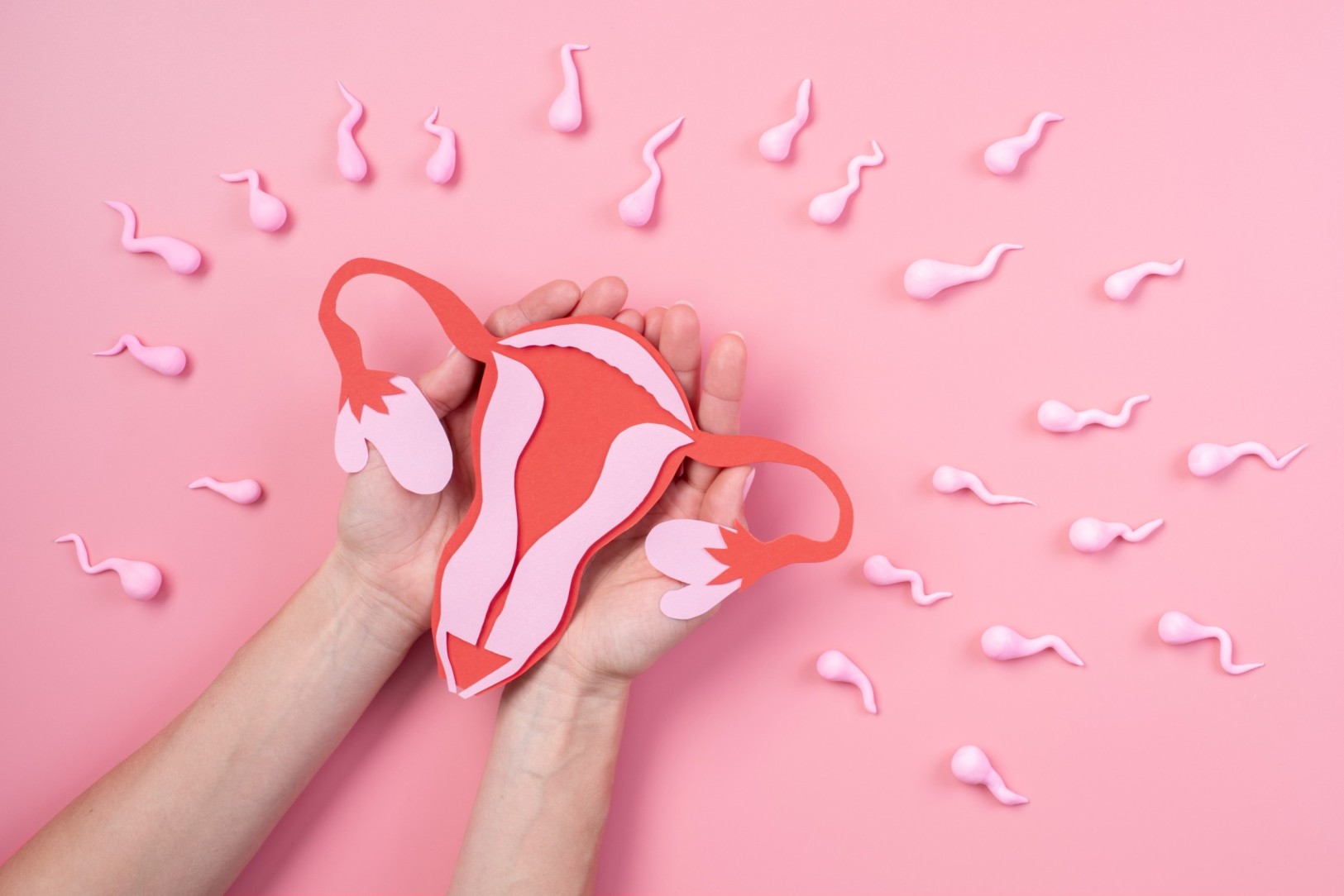 What Is Intrauterine Insemination & How Does It Help? — Laimaa Fertility, Delhi