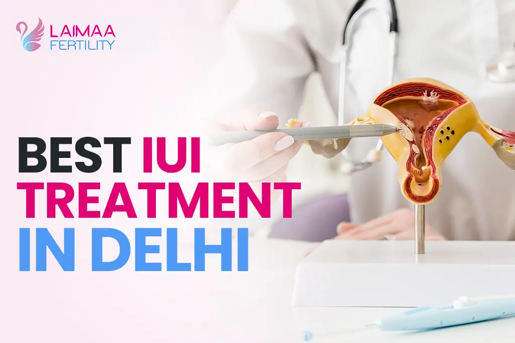 Best IUI Treatment in Delhi